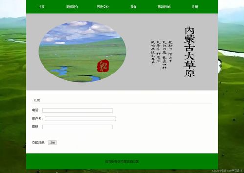 內(nèi)蒙古旅游網(wǎng)頁設(shè)計與開發(fā)實戰(zhàn) HTML5、CSS、JS實例教程與項目策劃咨詢