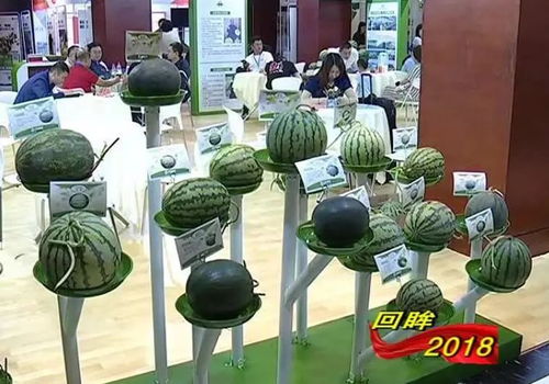 系列報道之三 堅持強農惠農 鄉村振興邁出堅實步伐