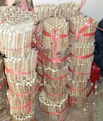 農戶直供 全紅楊扦插段、楊樹扦插段【圖】