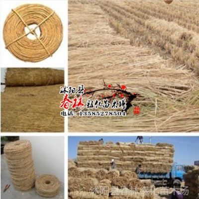 供應(yīng)批發(fā)園藝稻草繩子 捆綁繩 打草繩 苗木及工廠產(chǎn)品包扎與防護(hù)